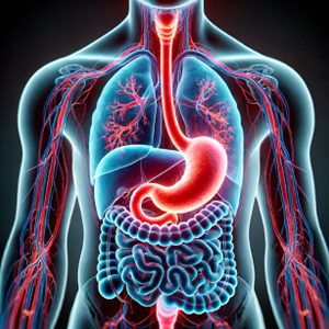 GERD, Acid Reflux, Gastric VFs + Wellness