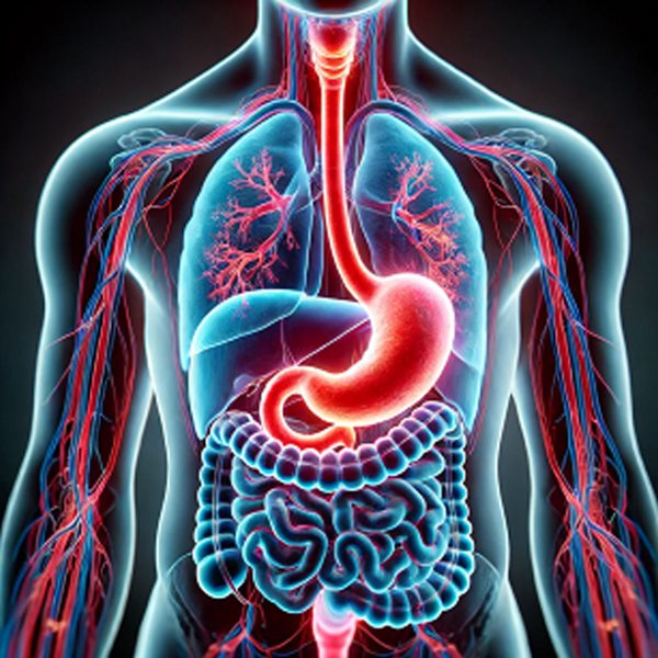 GERD, Acid Reflux, Gastric VFs + Wellness