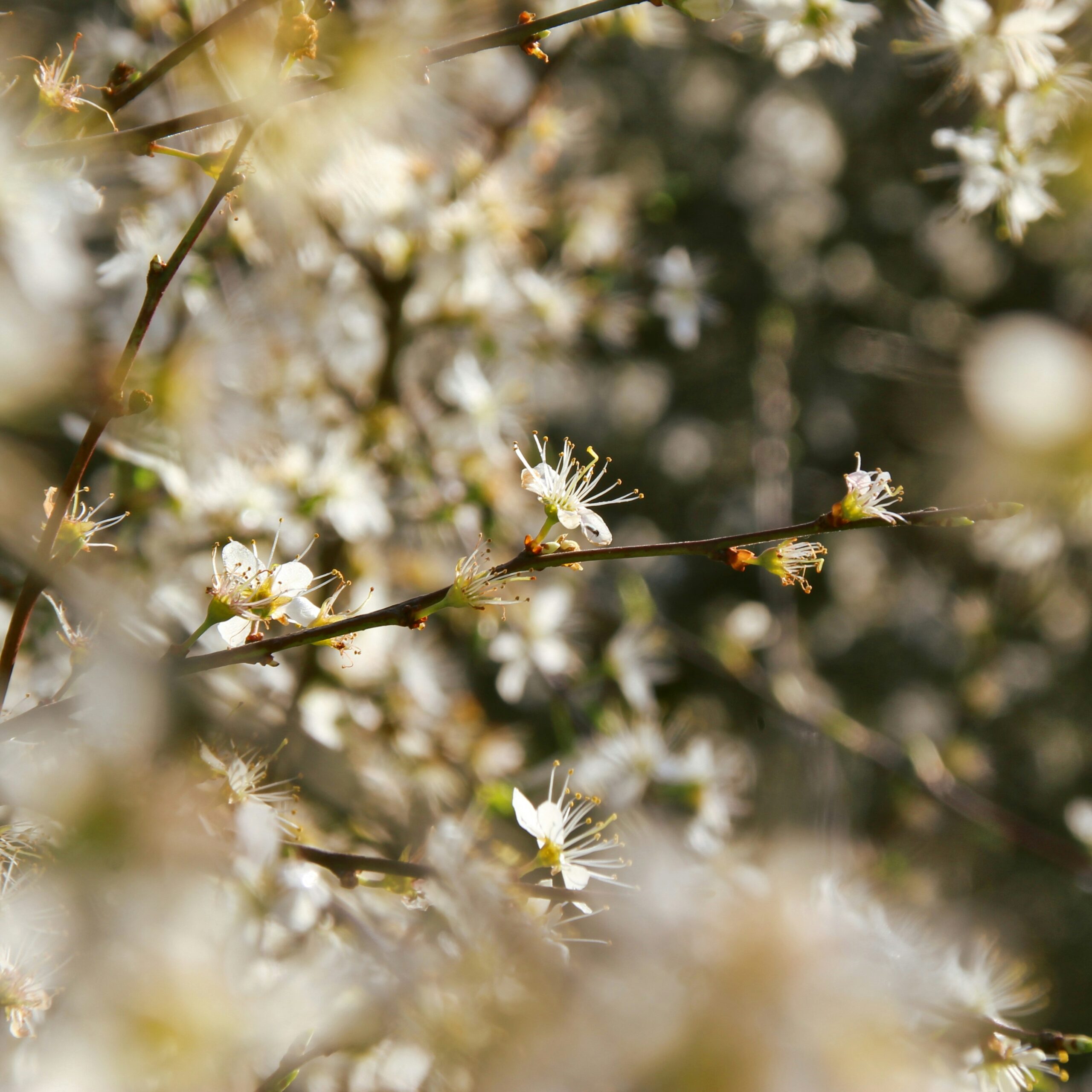 page-header