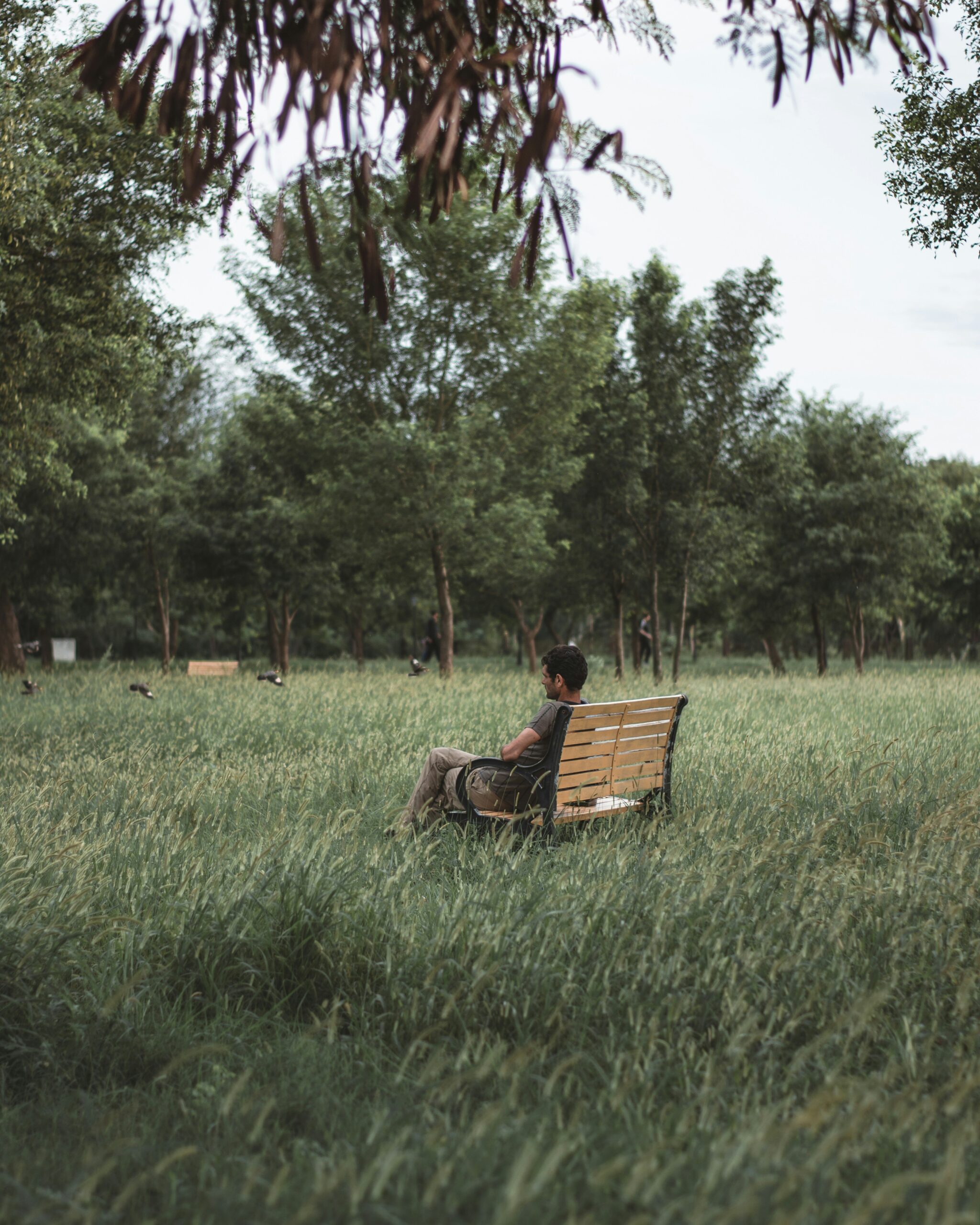 page-header