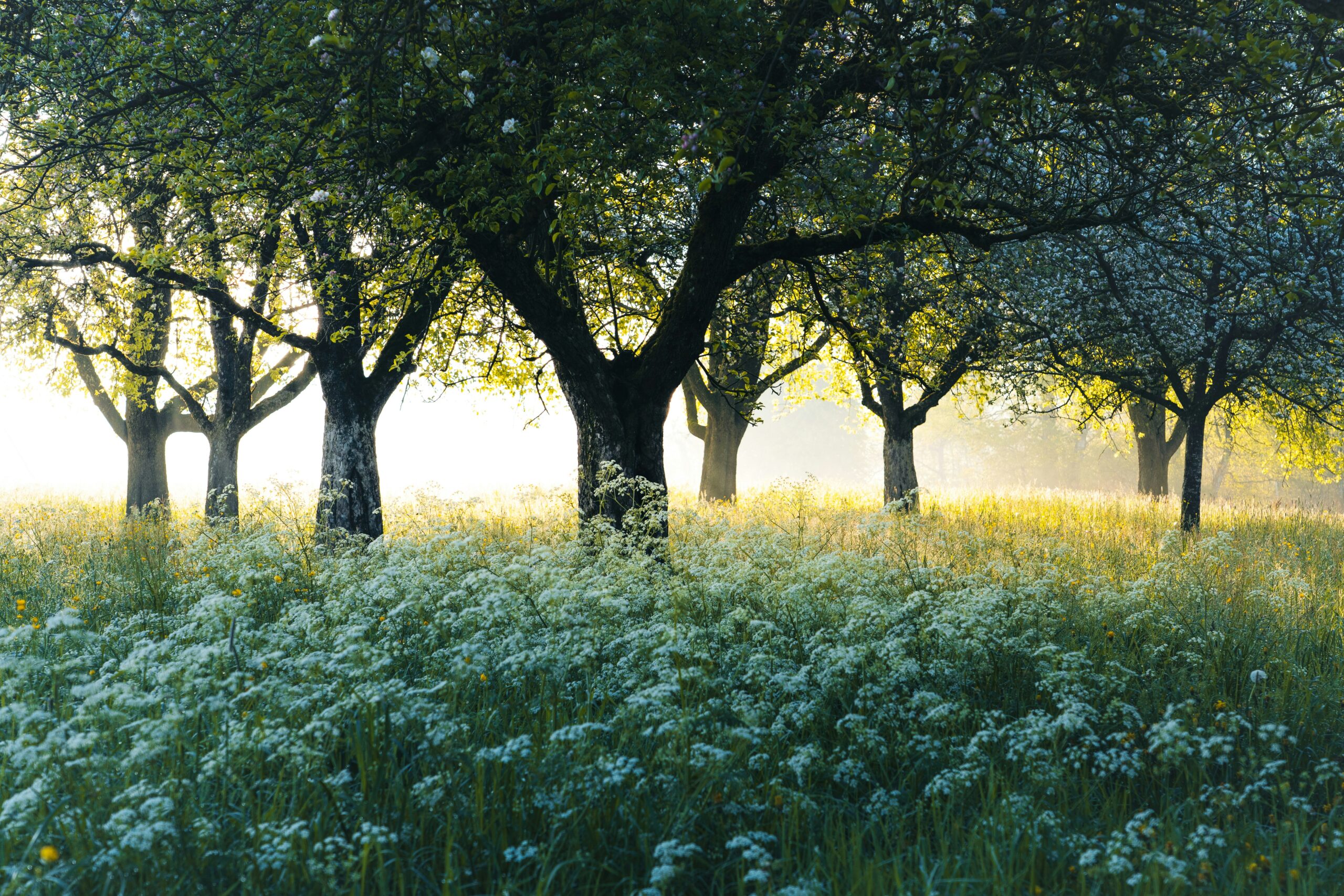 page-header