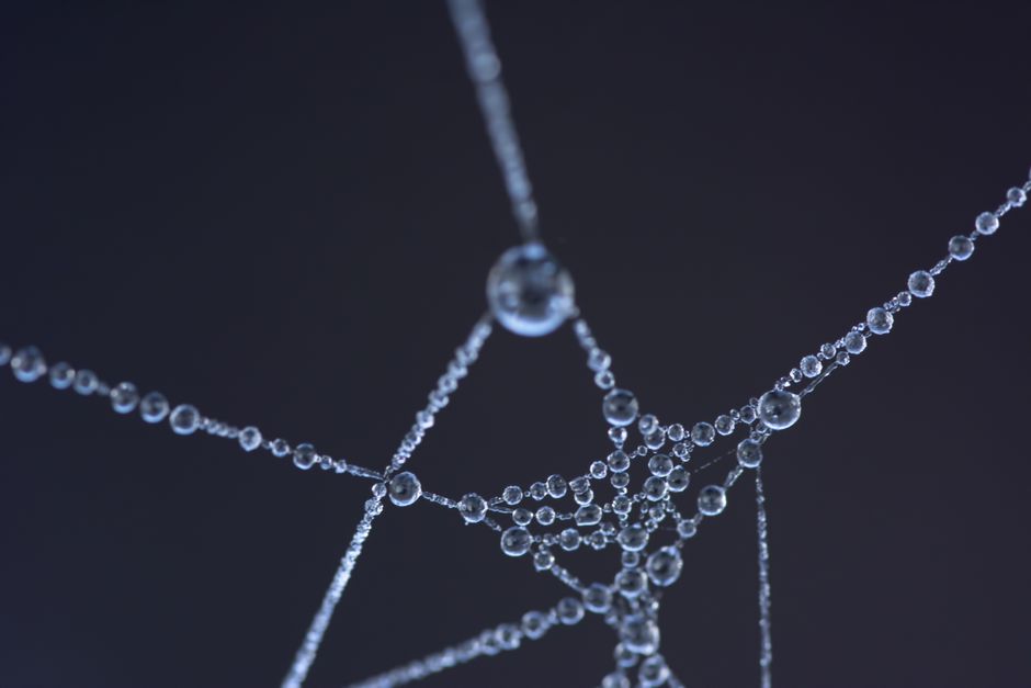 Not Just a Puddle: The Quiet Architecture of Water Inside Every Cell
